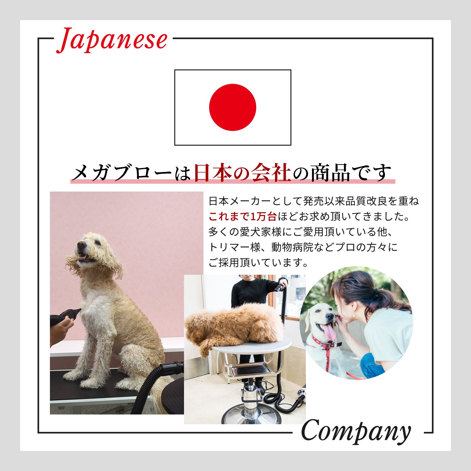 メガブローを超える風力！中型犬・大型犬に最適！業務パワーペットドライヤー「メガブローZ」