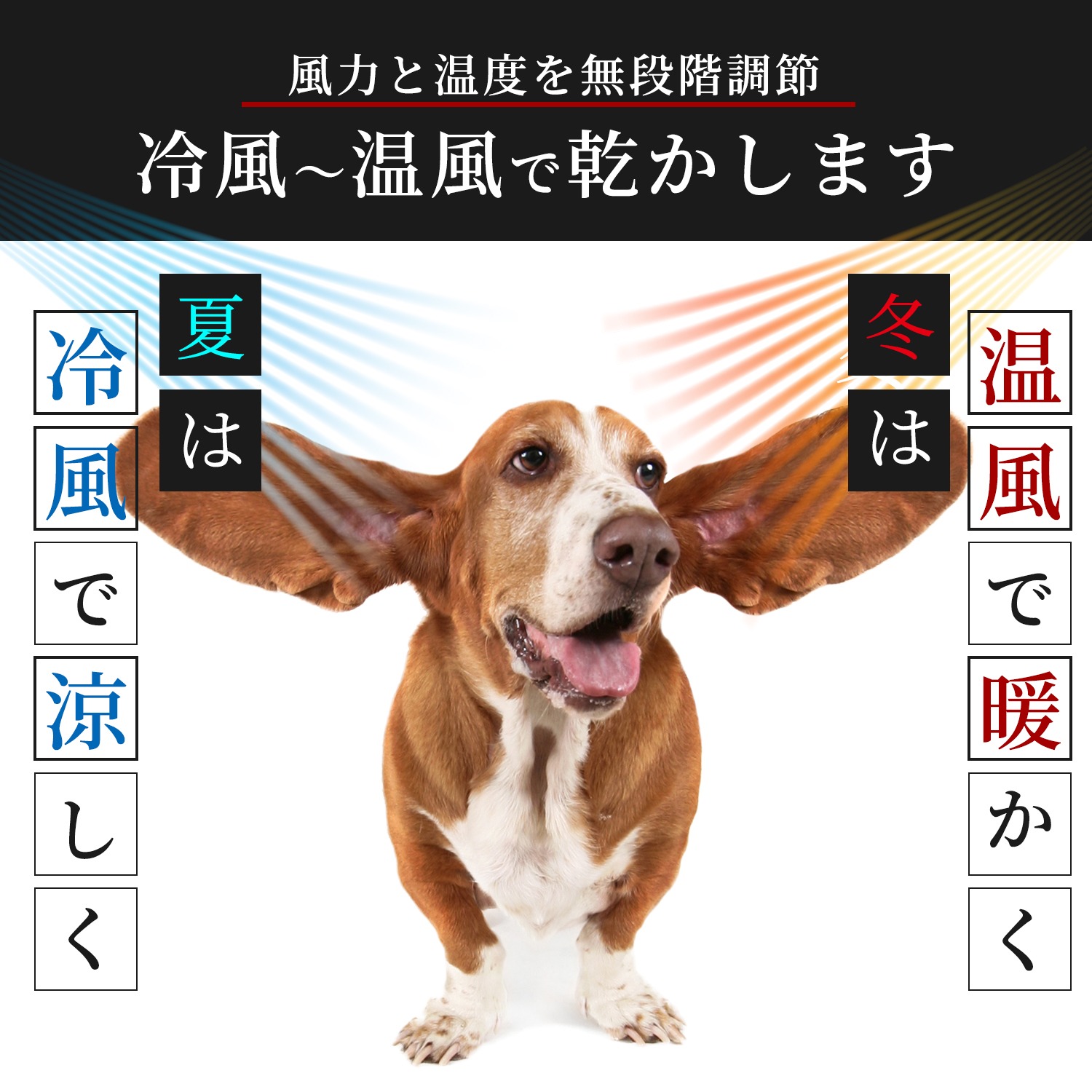 メガブローを超える風力！中型犬・大型犬に最適！業務パワーペットドライヤー「メガブローZ」