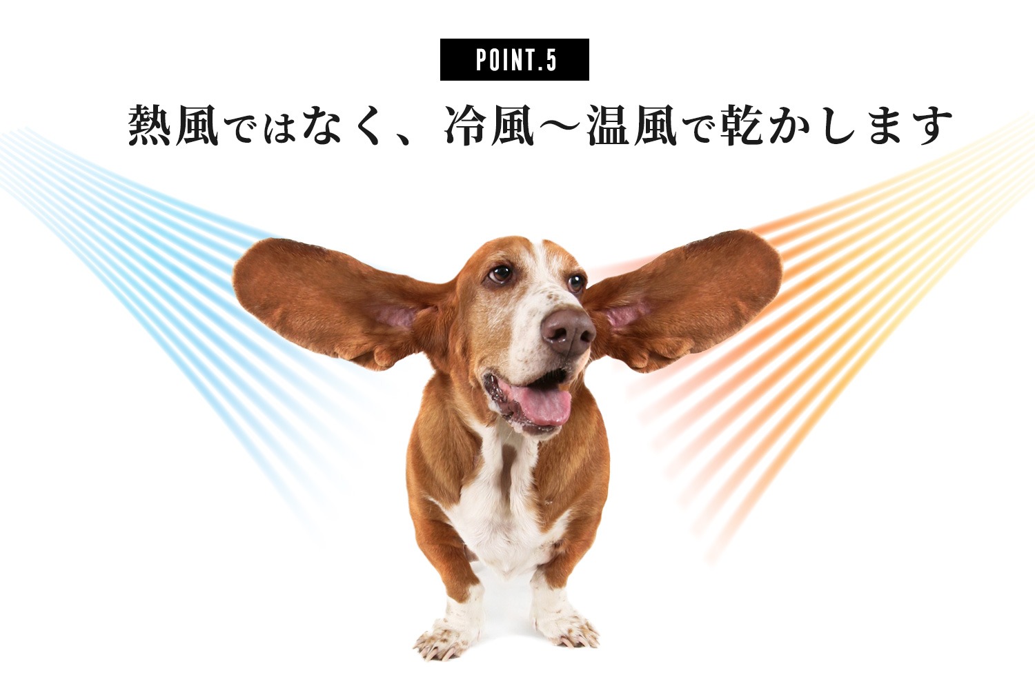 メガブローを超える風力！中型犬・大型犬に最適！業務パワーペットドライヤー「メガブローZ」