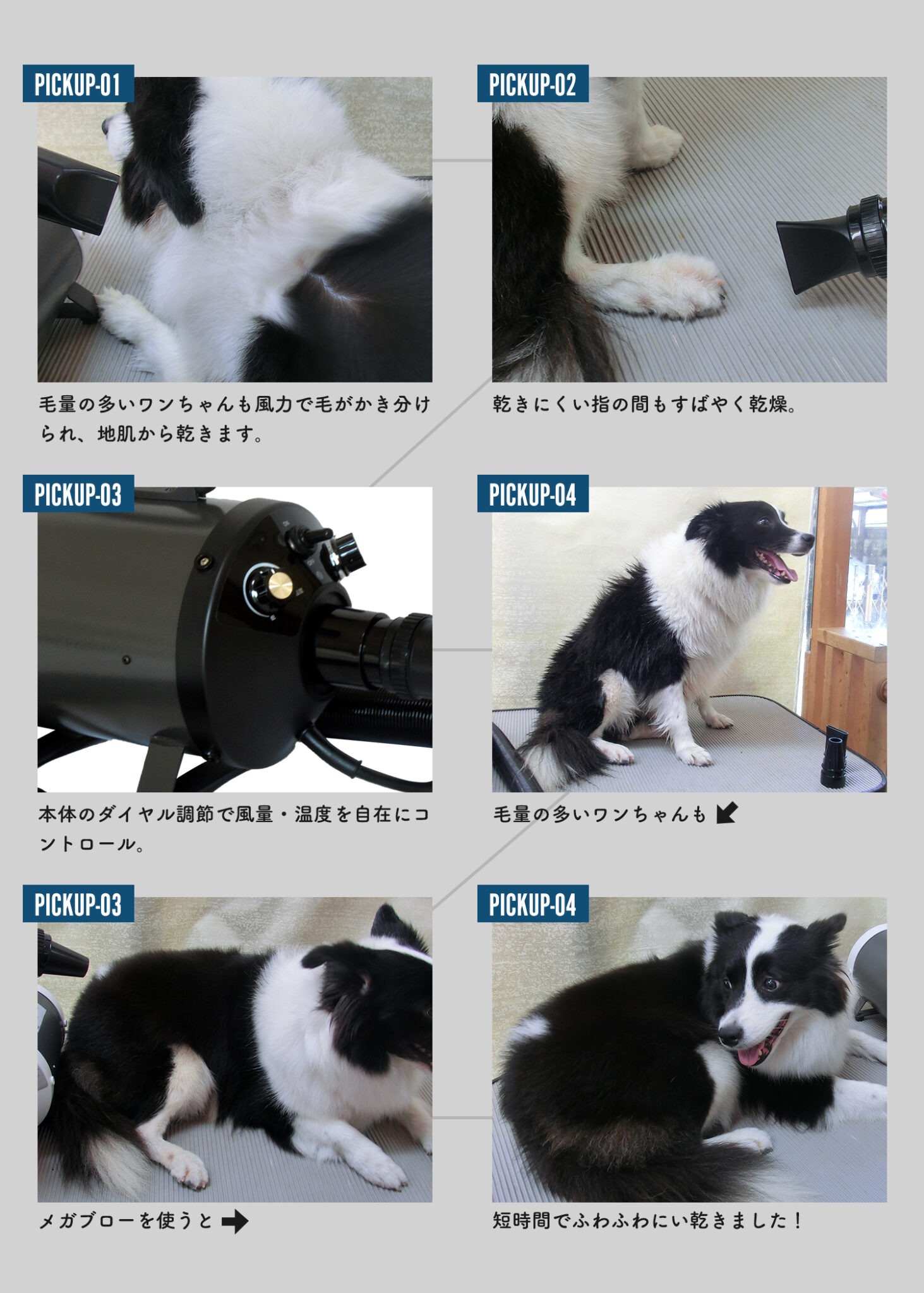 メガブローを超える風力！中型犬・大型犬に最適！業務パワーペットドライヤー「メガブローZ」